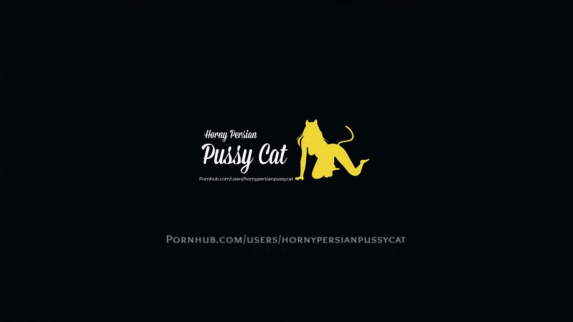 Horney persian pussy cat